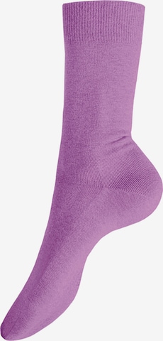 KUNERT Socken 'Liz' in Lila: Vorderseite