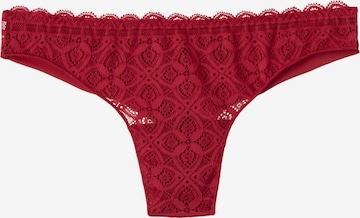 INTIMISSIMI Panty in Red: front