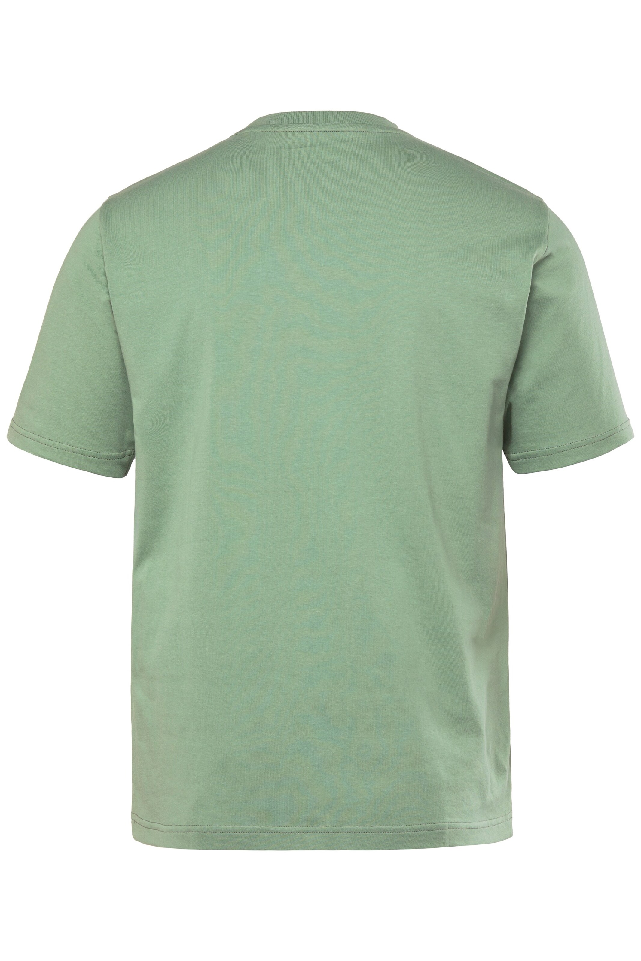 Men Plus Shirt in Green