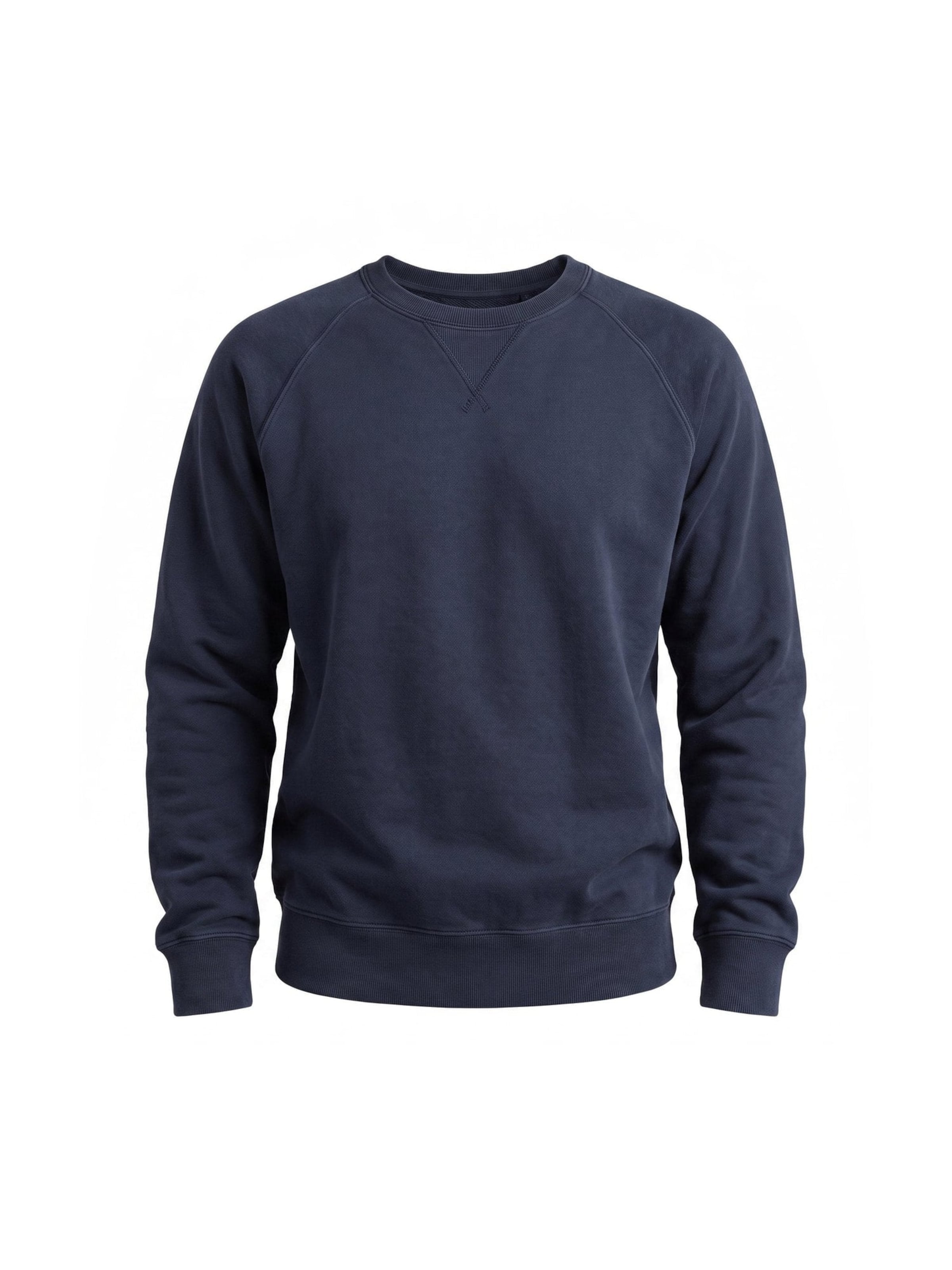 Fortela Sweatshirt 'HARVARD CREWNECK SWEATSHIRT IN BRUSHED JERSEY RAGLAN CUT BLUE' in Blue: front