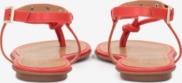 Kazar T-bar sandals in Red