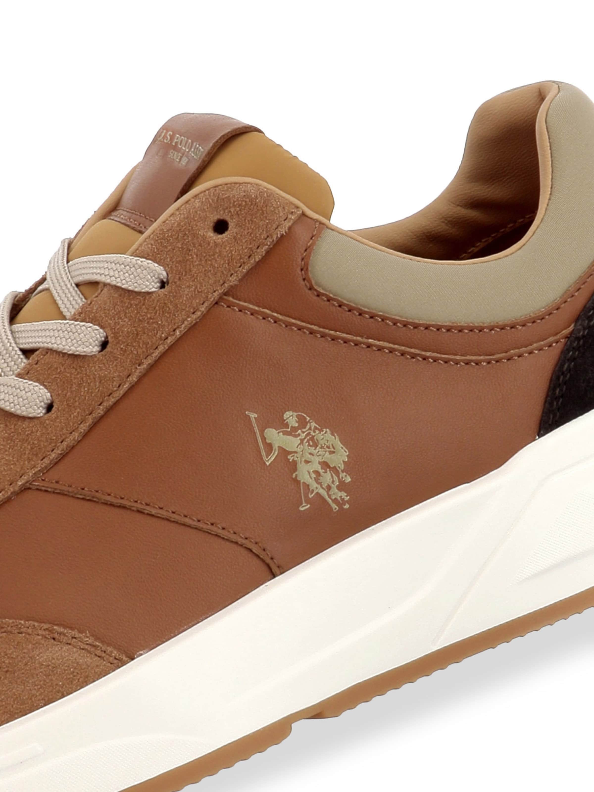 Baskets basses 'Parker' US POLO ASSN. en marron