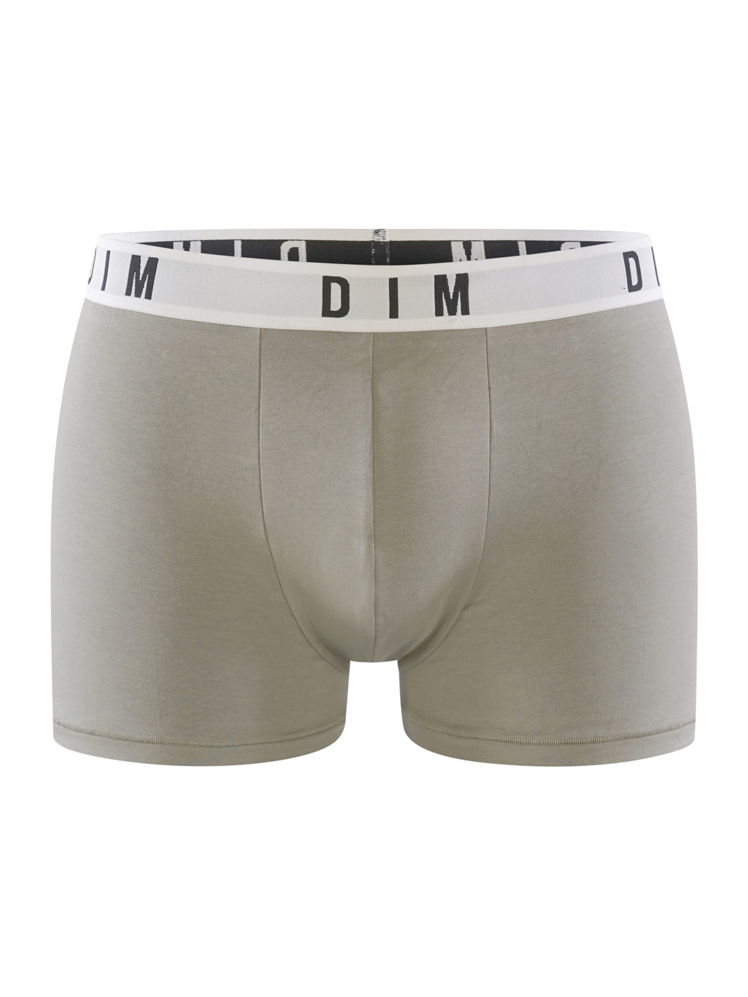 DIM Boxer shorts in Grey: front