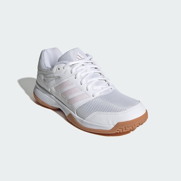 Chaussure de sport 'Speedcourt' ADIDAS PERFORMANCE en blanc