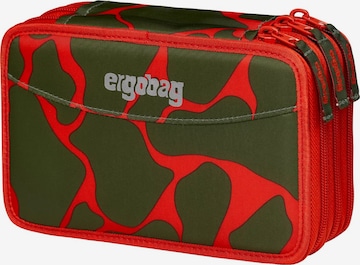 ergobag Bag 'Maxi Mäppchen Maxi Mäppchen' in Orange: front