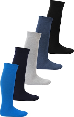 footstar Socks 'EVERYDAY!' in Blue: front