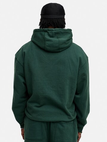 Daily Cotton Sweatshirt 'DCAUSTIN' in Grün