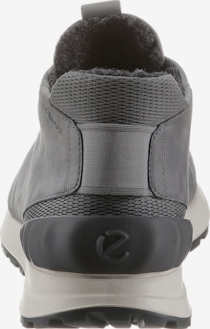 ECCO - Zapatos con cordón en gris