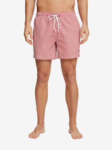 ESPRIT Badeshorts in Rot: predná strana