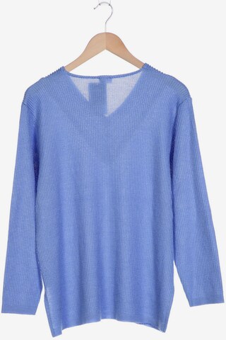 Atelier Goldner Schnitt Sweater & Cardigan in XXL in Blue