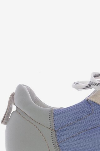 Closed Sneaker 40 in Blau