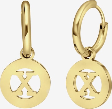 Lucardi Earrings in Gold: front