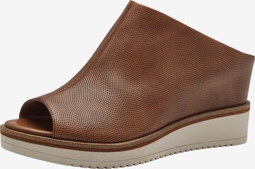 TAMARIS Mules in Brown: front