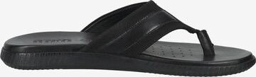 GEOX T-Bar Sandals in Black