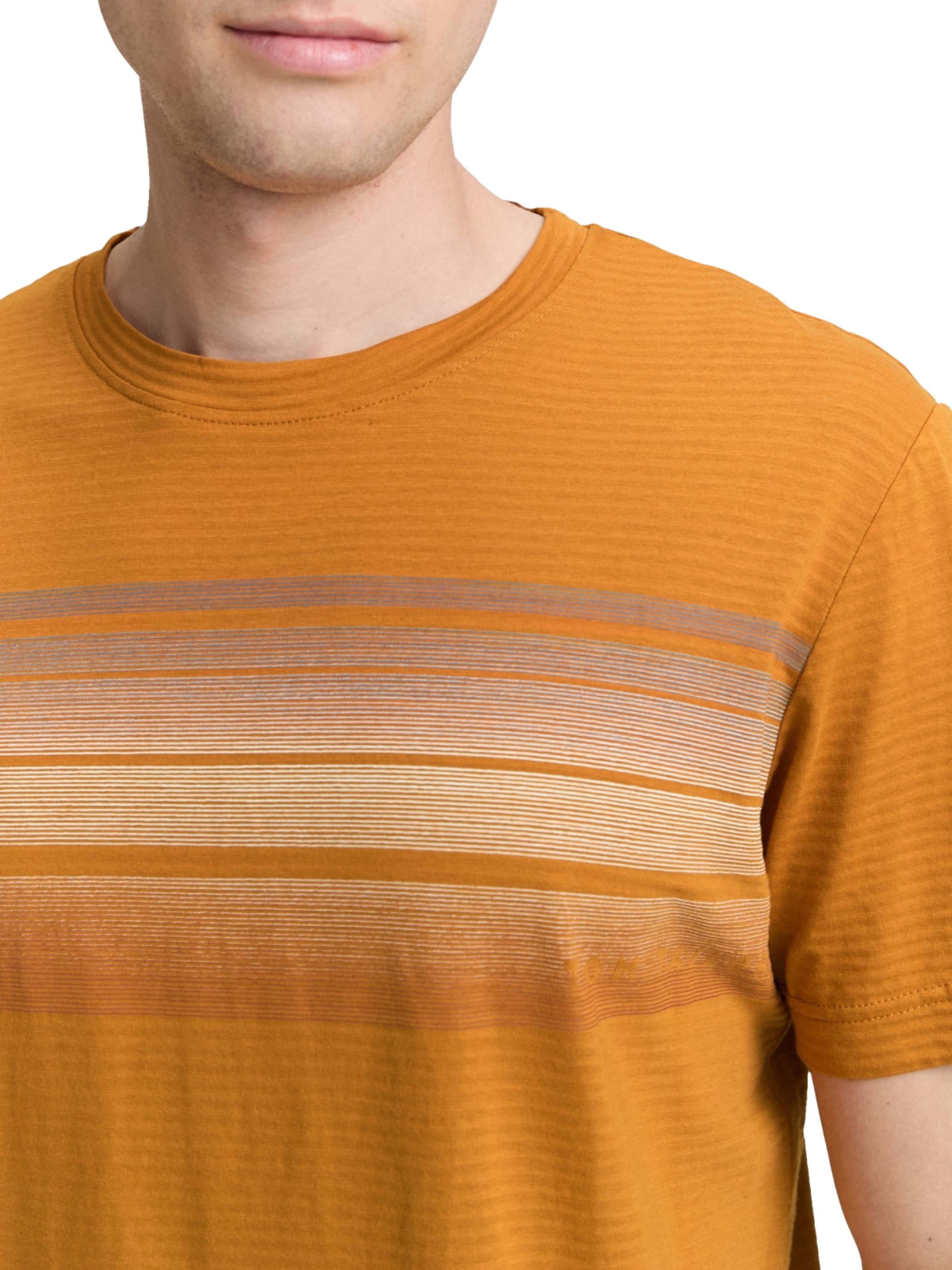 TOM TAILOR Shirt in Brown