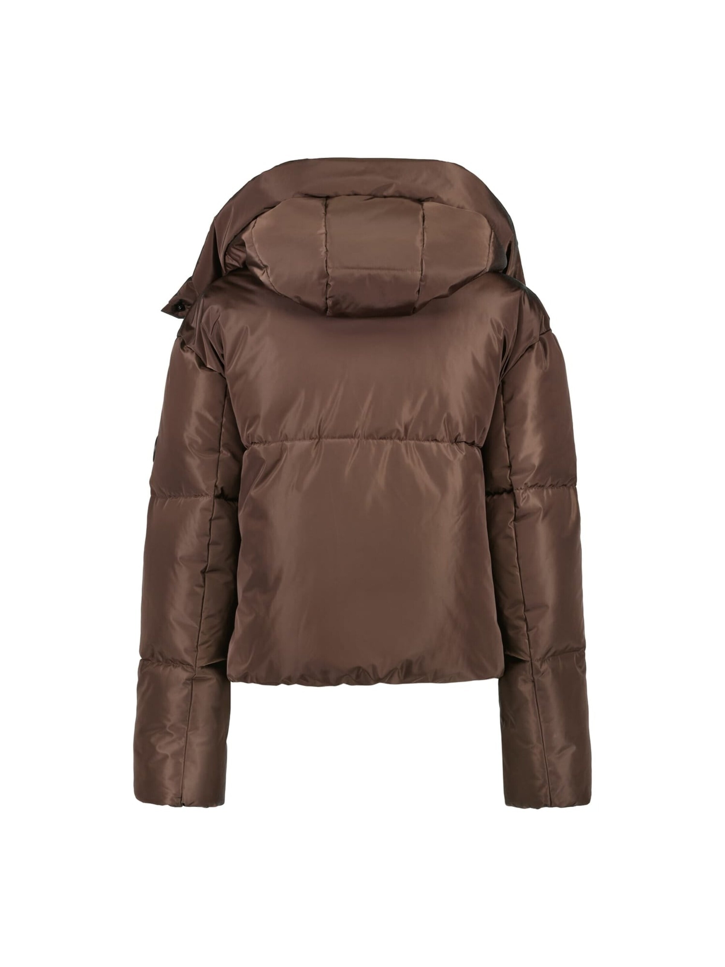 CARS Winter jacket in Brown