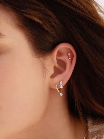 ANIA HAIE Earrings in Gold: front