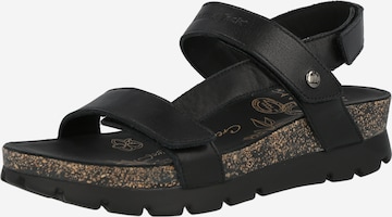 PANAMA JACK Sandal 'Selma' i svart: framsida