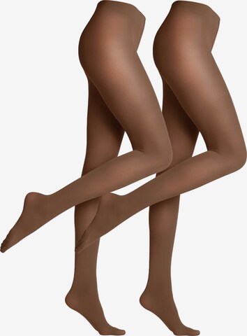 FALKE Tights in Brown: front