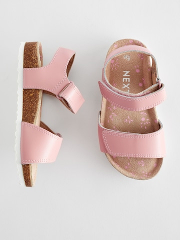 Next - Sandalias en rosa