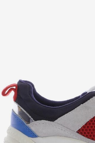 Marc O'Polo Sneakers & Trainers in 42 in Mixed colors
