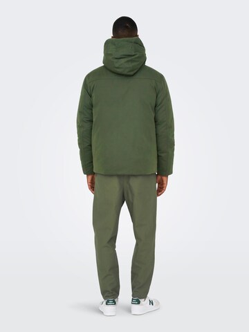 Only & Sons Winter Jacket 'CEDRIC' in Green