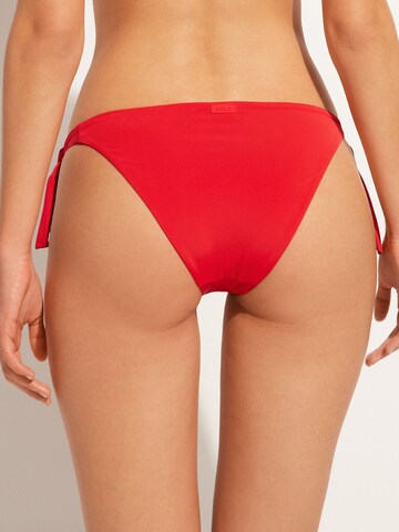 CALZEDONIA Bikini Bottoms in Red