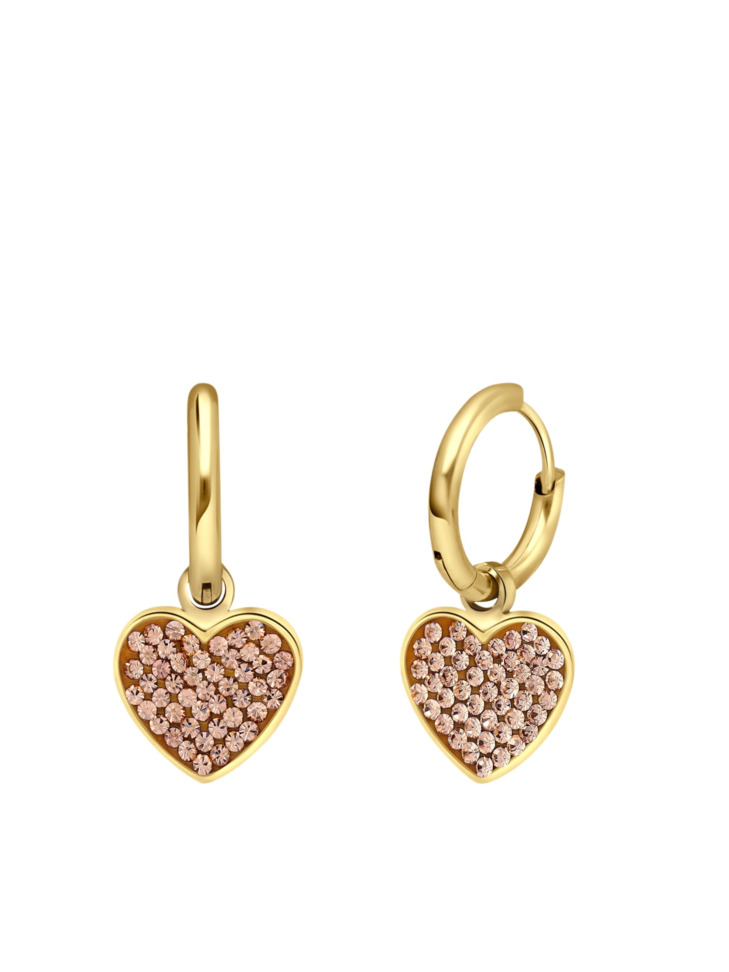 Boucles d'oreilles Lucardi en or : devant