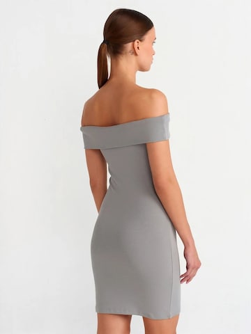 Robe Dilvin en gris