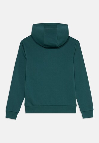 ELLESSE Sweatshirt 'Otternere' in Grün