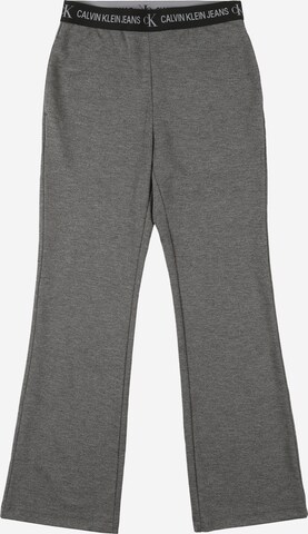 Calvin Klein Jeans Flared Hose in Grau: predná strana