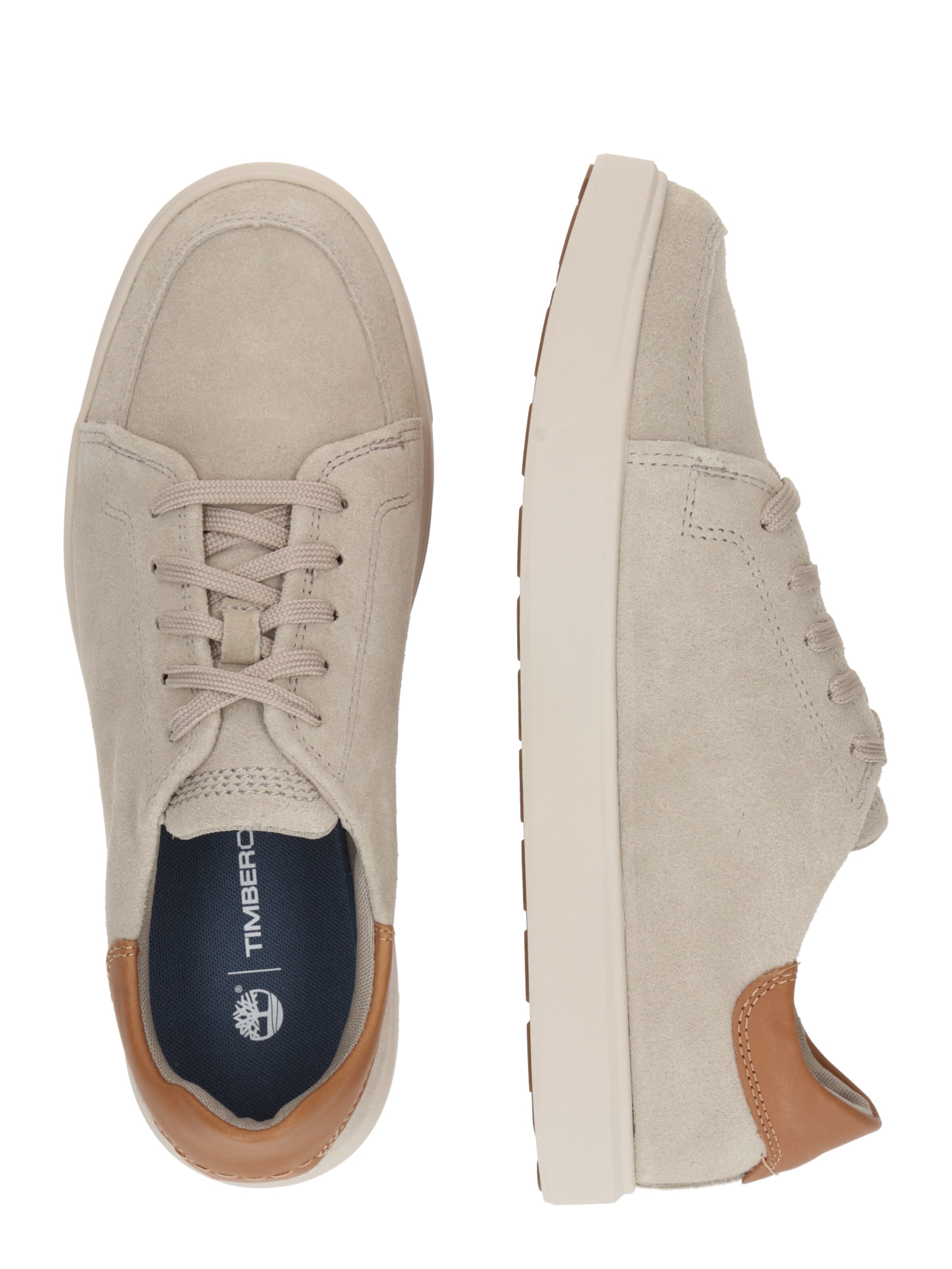 Baskets basses TIMBERLAND en gris