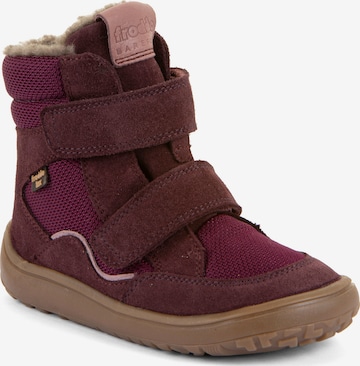 Froddo Stiefel in Rot: Vorderseite