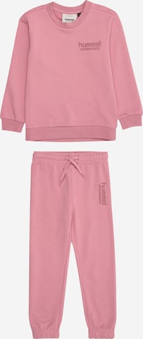 Hummel Тренировочный костюм в Ярко-розовый: спереди