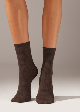 CALZEDONIA Socks in Brown: front
