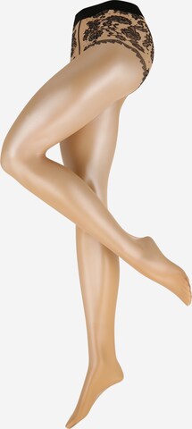 FALKE Fine Tights 'Sheer Lady' in Beige: front