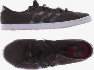 ADIDAS NEO Sneakers & Trainers in 38 in Brown: front