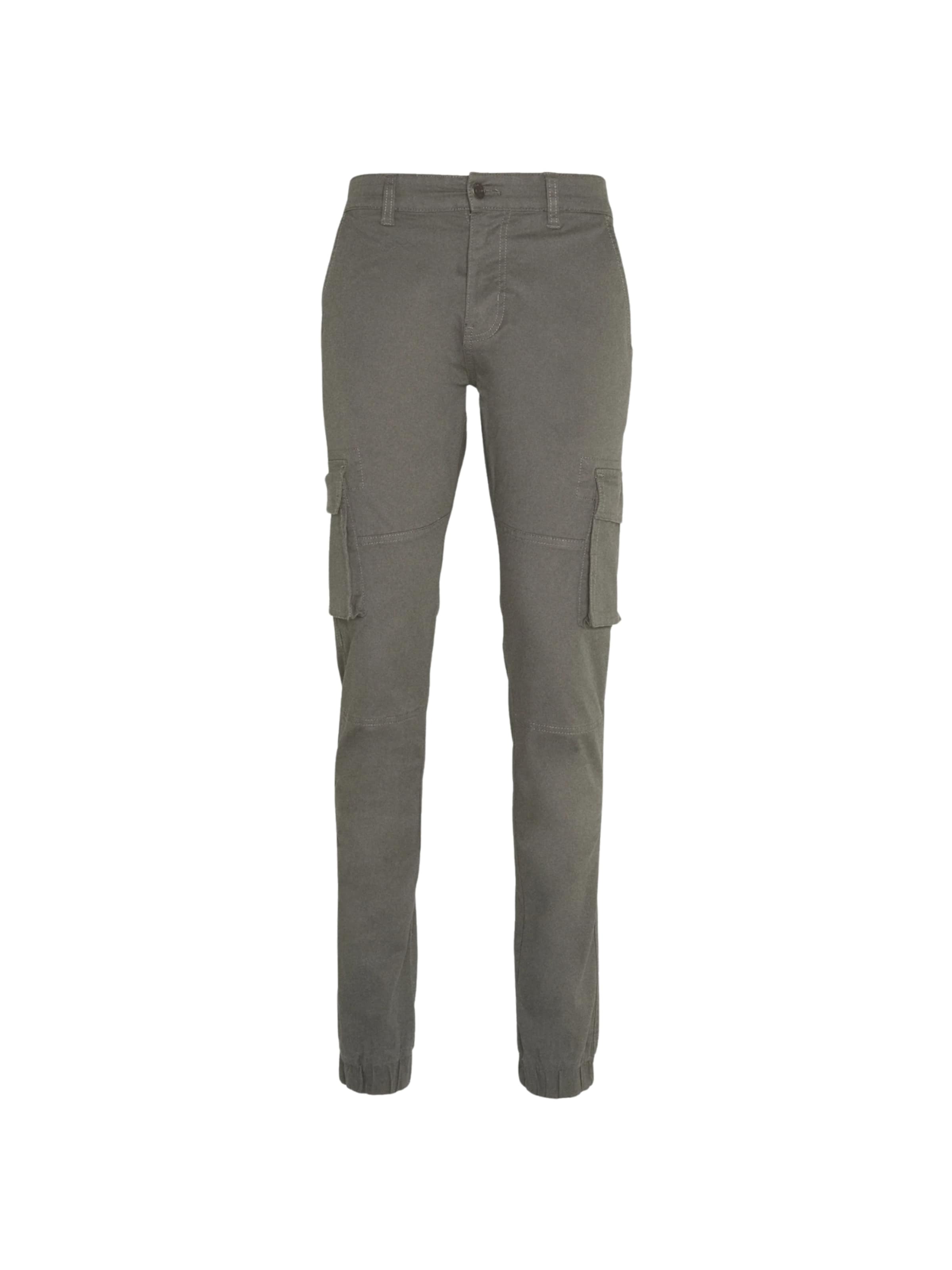 Denim Project regular Bukser 'DPM CARGO' i grå: forside