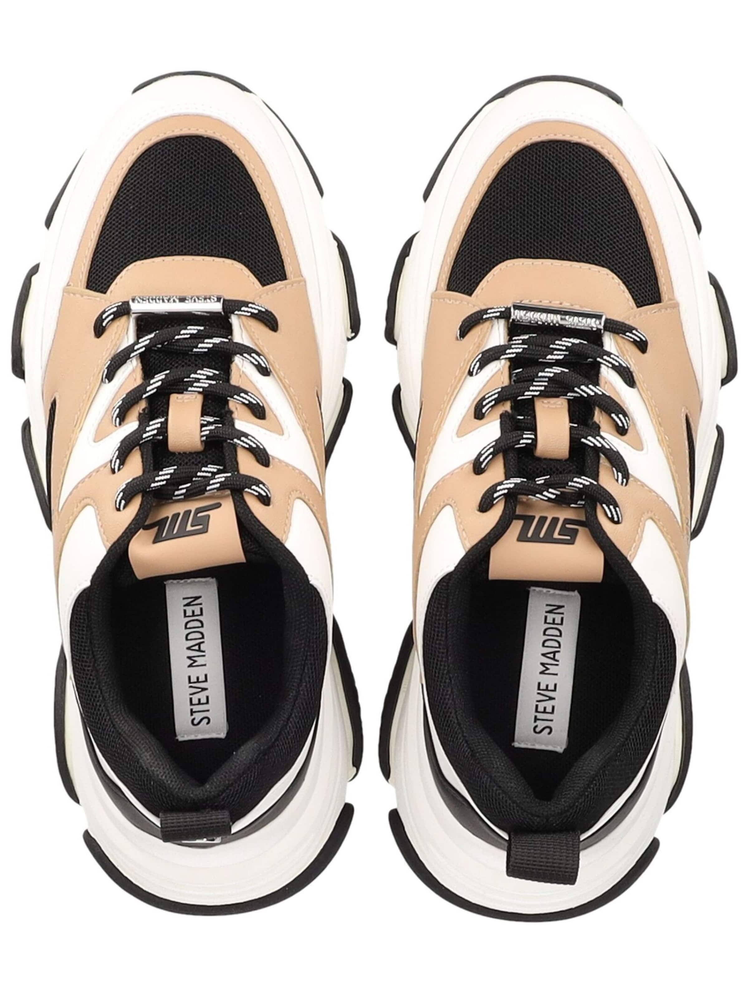 STEVE MADDEN Sneakers in Beige