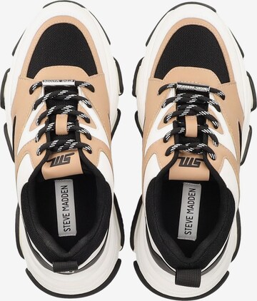 STEVE MADDEN Sneakers in Beige