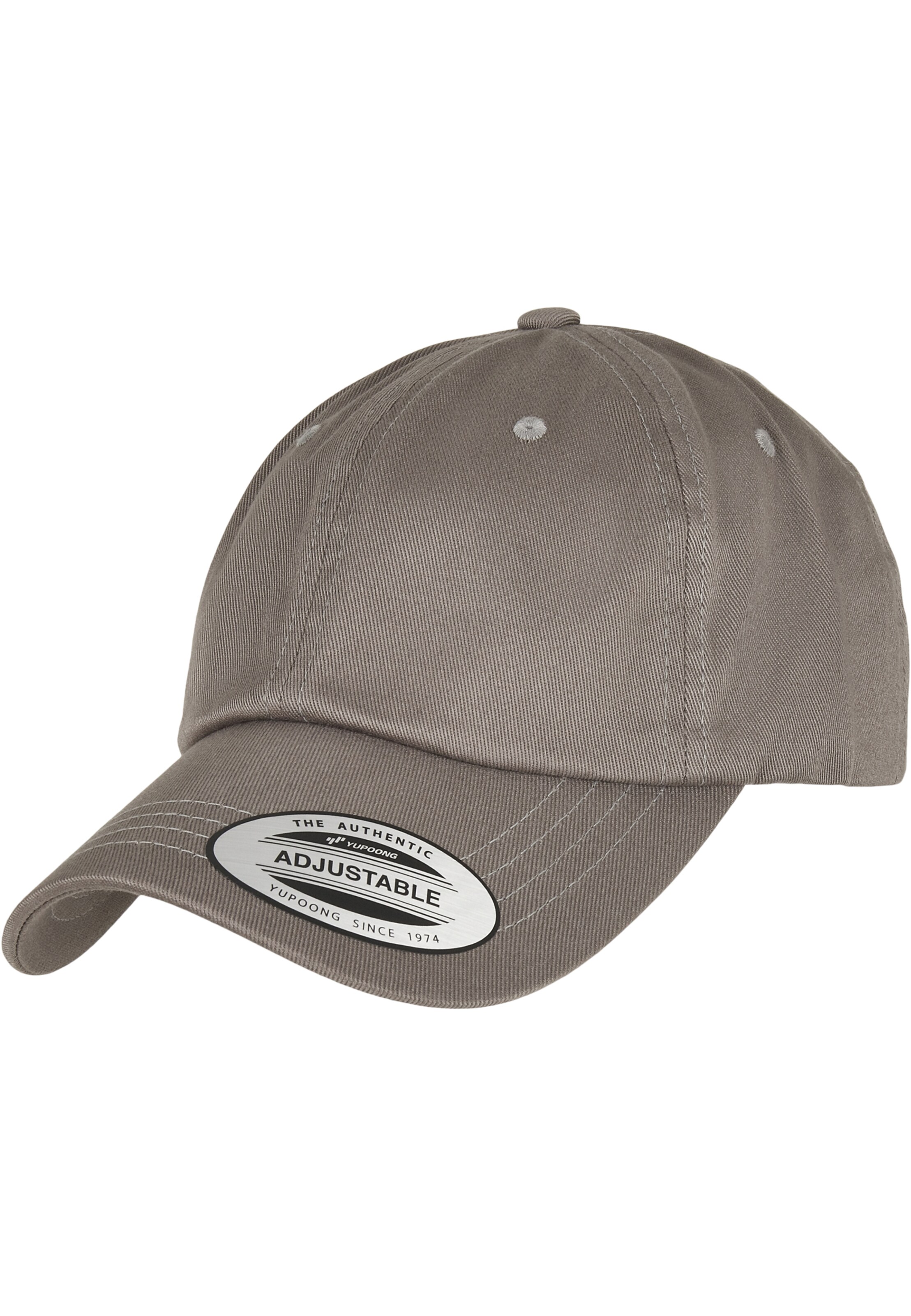 Flexfit Cap in Grey: front