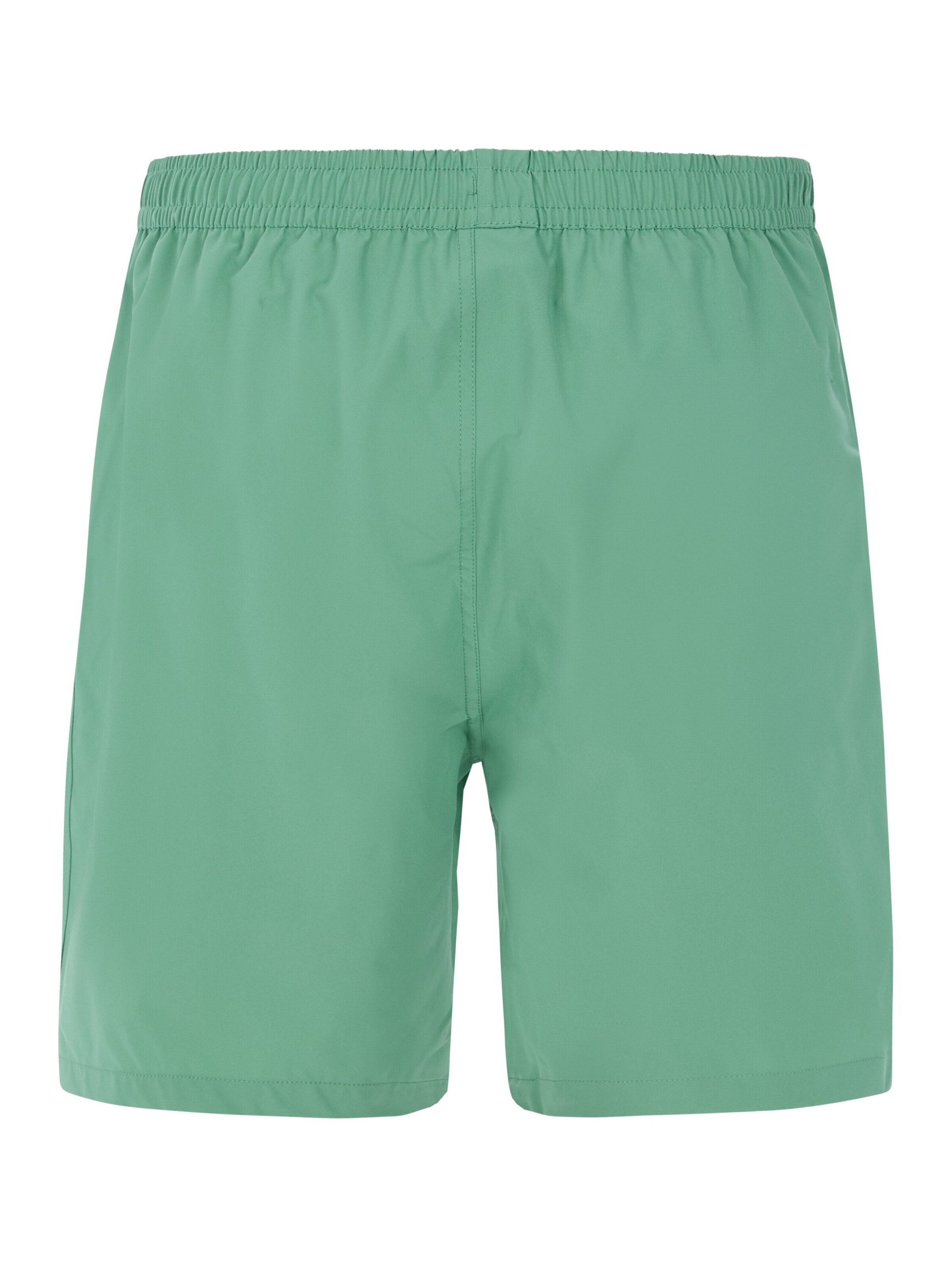 PROTEST Badeshorts 'PRTBAKY'‌‌‌‌‌‌‌‌‌ in Grün