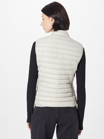 SAVE THE DUCK Bodywarmer 'ANITA' in Grijs