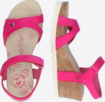 PANAMA JACK Strap Sandals 'Julia B58' in Pink