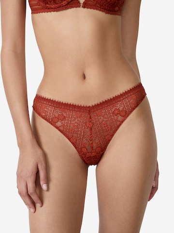 String di ETAM in marrone: frontale