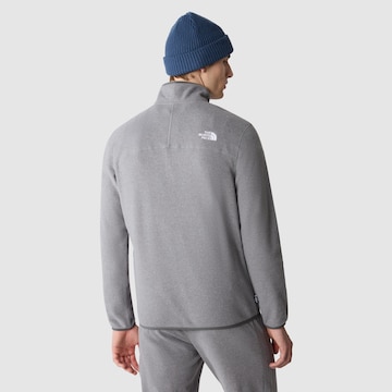 Pull-over de sport '100 Glacier' THE NORTH FACE en gris