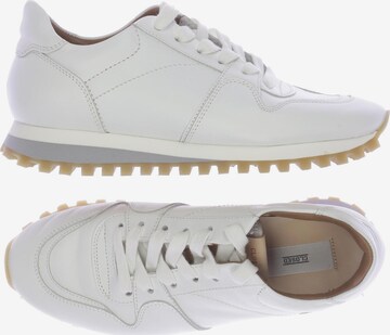 Closed Sneakers & Trainers in 38 in White: front
