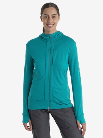 ICEBREAKER Sports sweatshirt 'Quantum III' in Green: front