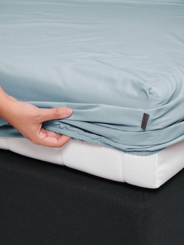 ESSENZA Bed Sheet in Blue