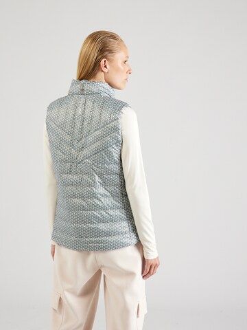 Gilet di Polo Ralph Lauren in grigio